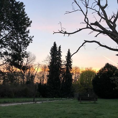 Ferienwohnung Apartment Doppelzimmer In Der Villa Naturpark Rheinblick, Ruhig, Aussicht, Pool Κόμπλεντς Εξωτερικό φωτογραφία