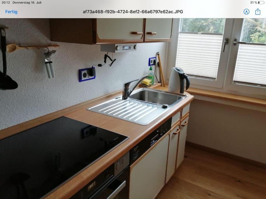 Ferienwohnung Apartment Doppelzimmer In Der Villa Naturpark Rheinblick, Ruhig, Aussicht, Pool Κόμπλεντς Εξωτερικό φωτογραφία