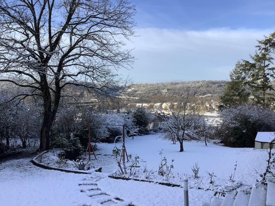 Ferienwohnung Apartment Doppelzimmer In Der Villa Naturpark Rheinblick, Ruhig, Aussicht, Pool Κόμπλεντς Εξωτερικό φωτογραφία