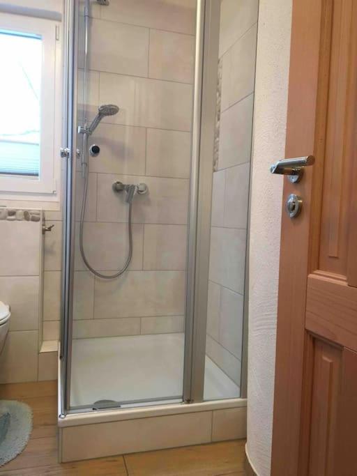 Ferienwohnung Apartment Doppelzimmer In Der Villa Naturpark Rheinblick, Ruhig, Aussicht, Pool Κόμπλεντς Εξωτερικό φωτογραφία