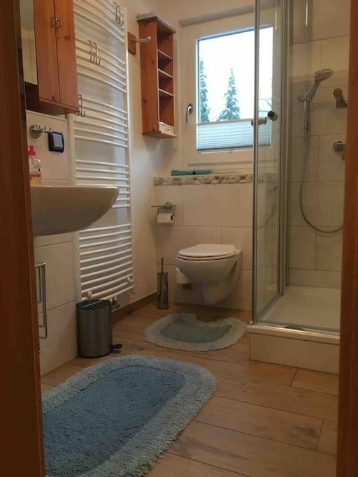 Ferienwohnung Apartment Doppelzimmer In Der Villa Naturpark Rheinblick, Ruhig, Aussicht, Pool Κόμπλεντς Εξωτερικό φωτογραφία