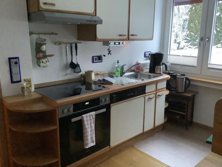 Ferienwohnung Apartment Doppelzimmer In Der Villa Naturpark Rheinblick, Ruhig, Aussicht, Pool Κόμπλεντς Εξωτερικό φωτογραφία