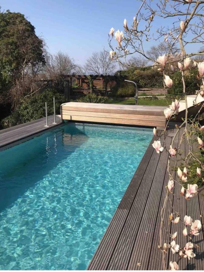 Ferienwohnung Apartment Doppelzimmer In Der Villa Naturpark Rheinblick, Ruhig, Aussicht, Pool Κόμπλεντς Εξωτερικό φωτογραφία