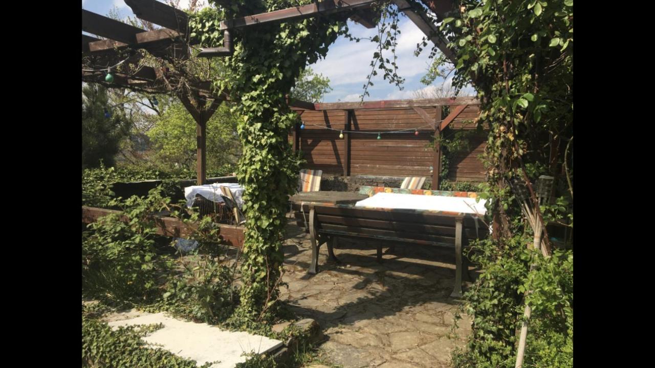 Ferienwohnung Apartment Doppelzimmer In Der Villa Naturpark Rheinblick, Ruhig, Aussicht, Pool Κόμπλεντς Εξωτερικό φωτογραφία